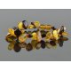 Mix drop shaped amber bracelet with clasp